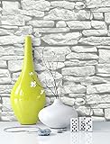 Steintapete in Weiß | schöne edle Tapete im Steinmauer Design | moderne 3D Optik für Wohnzimmer, Schlafzimmer oder Küche inklusive der Newroom-Tapezier-Profi-Broschüre, mit Tipps für perfekte W