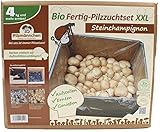 XXL Bio Steinchampignon 10 kg Pilzzuchtset - Pilze selber zü