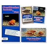 AQ4Aquaristik Starter Set Triops cancriformis simplex - Triops Eier - mit Aufzuchtfutter, Hauptfutter und Anleitung
