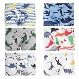 LPATTERN Baby/Kleinkind/Kinder Jungen 6er Pack Baumwolle Unterwäsche Unterhose Höschen Schlüpfer Boxshorts, Dinosaurier+ Streifen Shorts, 104-110(Label:110)