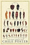 TammieLove Chile Chart Poster Cuisine Restaurant Guide Culinary Seasonings Chilli Print Poster P02 Garage Wall Decor Metal Sign Poster 20,3 x 30,5