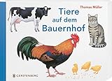 Tiere auf dem B