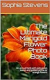 The Ultimate Marigold Flower Photo Book: An annual herb with pale-green leaves and golden yellow or orange flowers (English Edition)