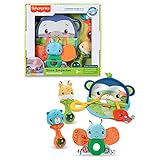 Fisher-Price HFJ92 - Geschenkset Sinne Entdecken, Spielset mit Aktivitätsspielzeugen Babyspielzeug, ab 3 M