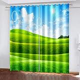 XGFWMS Vorhänge Schlafzimmer Blickdicht Gardinen 3D Hd Druck Schönes Grasland Druck Muster Verdunkelungsvorhang Ösenschal 2 Stücke 260X280Cm(Hxb) Wohnzimmer Thermovorhang Fensterdek