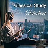 Schubert: Sonatina for Violin and Piano No.3 in G minor, D.408 - 4. Alleg