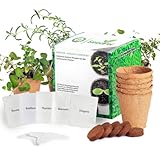 SeedPal - Kräuter Anzuchtset - das einfache Starter Kit für Hobbygärtner inkl. leckerer Rezeptideen - 5 beliebte Kräutersorten - Pflanzen & züchten Sie Ihren eigenen kleinen Kräuterg