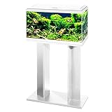 Aquarium mit Ständer/Filter/LED-Beleuchtung, 60 cm, 58