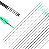 MorNon 25 Stück Pfeile Carbon 30 Zoll Bogenpfeile für Bogenschießen Mit Jagdpfeile für Bogen Traditionellen Bogen Recurvebogen und Langbogen Recurvebogen Sportbogen Zielschießen Spiel O