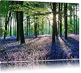 TOPSELLER Wandbilder (Lavendel im Wald 120x80cm) Ruhe Stille Harmonie Bilder fertig gerahmt auf Keilrahmen xxl. Kunstdruck auf Leinwand. Günstig inkl Rahmung