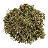 IMIKEYA 1 Packs Kunstmoos Flechten Simulation Gefälschte Grüne Pflanzen für Garten Terrasse Dekoration (60G)