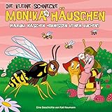 Warum naschen Hornissen keinen Kuchen?: Die kleine Schnecke Monika Häuschen 43