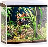 Sweetypet Aquarium Komplettset: Nano-Aquarium-Komplett-Set mit LED-Beleuchtung, Pumpe & Filter, 40 l (Fischbecken)