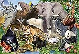 ZMGYA 1000 teiliges Puzzle für Erwachsene Animal world-3001000 für Kinder Erwachsene Dekoration Puzzle,Familienspiel,Geschenk und Geschenk für Liebhaber oder F