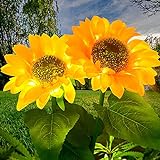 Solarleuchte Garten Sonnenblume Solarlichter, LED Aussenleuchten Wegeleuchte Deko,garten Solares Licht für Terrasse Rasen Garten Hinterhöfe（2 Stücke）