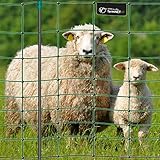 VOSS.farming Premium Elektronetz 108cm farmNET® 50m Schafzaun Ziegennetz Pfähle 2 Spitzen grü