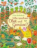 Mein Stickerbuch: Wie wachsen Obst und Gemüse?: Mit über 160 Stick