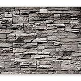murando Fototapete 400x280 cm Vlies Tapeten Wandtapete XXL Moderne Wanddeko Design Wand Dekoration Wohnzimmer Schlafzimmer Büro Flur Steinmauer Steineoptik 3D Mauer Steinwand f-B-0043