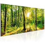 decomonkey Bilder Wald 150x50 cm XXL 1 Teilig Leinwandbilder Bild auf Leinwand Vlies Wandbild Kunstdruck Wanddeko Wand Wohnzimmer Wanddekoration Deko Baum Bäume Natur L
