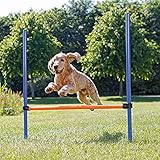 Trixie 3207 Dog Activity Agility Hürde, Kunststoff, 123 × 115 cm, ø 3 cm, blau/orang