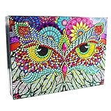 DASNTERED Schmuck-Organizer, Aufbewahrungsboxen, PU-Leder, 5D-Diamantmalerei, Desktop, Zuhause, Geschenk, Schauk