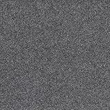 Teppichboden robuste Meterware FINETT 7, Nadelfilz/Nadelvlies, Made in Germany, einfache Verlegung, schwer entflammbar, allergikerfreundlich, strapazierfähig, antistatisch, Grau (8007) 2 x 2