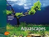 Aquascapes: Gestalten, einrichten, pfleg