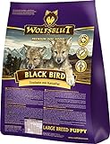 Wolfsblut Black Bird Puppy Large, 1er Pack (1 x 2 kg)