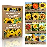 12er Sonnenblumen Samen Set - 12 schöne Sorten Premium Sonnenblumensamen - Blumen Saatgut für Bienen - super Garten Geschenk - Blumensamen Sommerblumen Anzuchtset von N