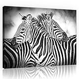 Forwall Bilder Zebra schwarze und weiße Tiere Modern Schlafzimmer Wohnzimmer Leinwandbilder Wandbild Kunstdruck Wandbilder Wand Bild auf Leinwand Aufhängefertig (10092, O6 (80 x 60 cm))