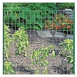 YYFANGYF Maschendrahtzaun, Schutznetzisolation Eisennetz PVC-beschichtetes Geschweißtes Drahtgewebe Für Den Heimgebrauch Und Die Gartenarbeit In Bastelprojekten (Color : 2.1mm, Size : 1.2x30m)