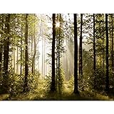 Fototapeten 396 x 280 cm Wald Landschaft Sonne | Vlies Wanddekoration Wohnzimmer Schlafzimmer | Deutsche Manufaktur | Grün Braun 9010012
