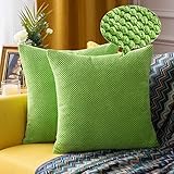 MIULEE Weihnachten 2er Set Granulat Kissenbezug Ananas Weiches Massiv Dekorativen Quadratisch Überwurf Kissenbezüge Kissen für Weihnachten Sofa Schlafzimmer 16'x16', 40 x 40 cm Grü