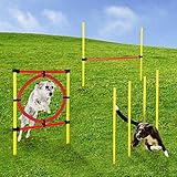 Momex Agility Set Hunde Training Hundesport mit Hürden und S