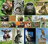 'LUSTIGE TIERE III': 20-er Postkarten-Set mit witzigen, frechen und lustigen Tieren (20 Postkarten) für Sammler und Postcrossing von EDITION COLIBRI © - umweltfreundlich, da klimaneutral gedruck