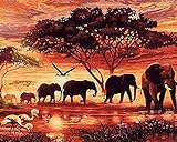 DIY Malen Nach Zahlen für Erwachsene und Kinder Vorgedruckt Leinwand-Ölgemälde Kits Home Haus Dekor mit MEHRWEGVerpackung - Sonnenuntergang Elefanten 16 x 20 I
