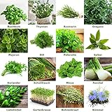 Kräutersamen Mischung 16 Sorten (je 50x) der beliebtesten Küchenkräuter aus Portugal | 100% Natur | Kräuter Samen Mix Set Kräutergarten | Oregano Thymian Majoran Rosmarin Dill Basilikum Salb