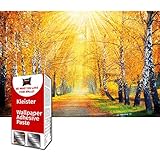 GREAT ART Fototapete Goldener Herbst 210 x 140 cm – Birken Allee Natur Landschaft Jahreszeiten Laub Gelbe Blätter Park Weg Bäume Sonne Wandtapete – 5 Teile Tapete ink