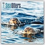 Sea Otters 2016 - Seeotter - 18-Monatskalender: Original BrownTrout-Kalender [Mehrsprachig] [Kalender] (Wall-Kalender)