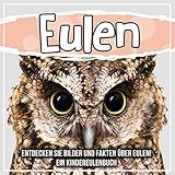 Eulen: Entdecken Sie Bilder und Fakten über Eulen! Ein Kindereulenb
