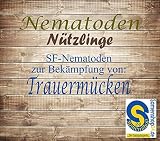 Samenshop24® SF- Nematoden, Inhalt: 6 Mio. für ca. 12m², 10 Kübel oder 60 kleine Topfpflanzen, zur Bekämpfung von Trauermücken, biologische Schädlingsbekämpfung, auch zur Ameisenvertreibung geeig