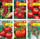 Frankonia-Samen / Tomatensamen-Sortiment / 6 Tomatensorten / Tomate Supersweet / Tomate Harzfeuer / Tomate Matina / Tomate Hellfrucht / Fleischtomate / Tomate Balkonzabub