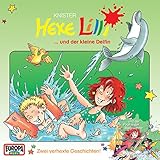 Hexe Lilli und der kleine D