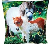 kuschelweiche KISSENHÜLLE 40x40 cm Motiv BEIDSEITIG Pony mit Fohlen Pferdekissen Dekokissen Kissenbezug Fotoprint beidseitig (Pferd mit Fohlen)