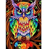 POENOEN Eule 5D Diamond Painting Bilder Set für Erwachsene, Nachteule Groß Foto DIY Runde Steine Diamant Malerei Kits für Kinder/Weihnachten/Zuhause/Dekor (30x40cm)