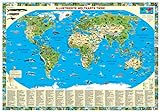 Erlebniskarte „Illustrierte Weltkarte Tiere“