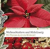 Weihnachtsstern und Mistelzweig: Mit Pflanzen durch die W