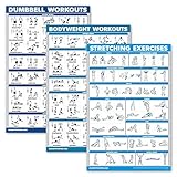 QuickFit Hanteltraining + Bodyweight Übungen + Stretching Routine Poster Set mit 3 Workouts (laminiert, 45,7 x 68,6 cm)