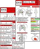 EKG Basic Set (2er Set) - Herzrhythmusstörungen, EKG Auswertung - Medizinische T