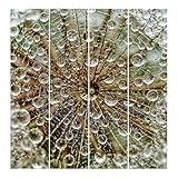 Bilderwelten Schiebegardinen Pusteblume im Herbst - Ohne Aufhängung, 4X 250 x 60